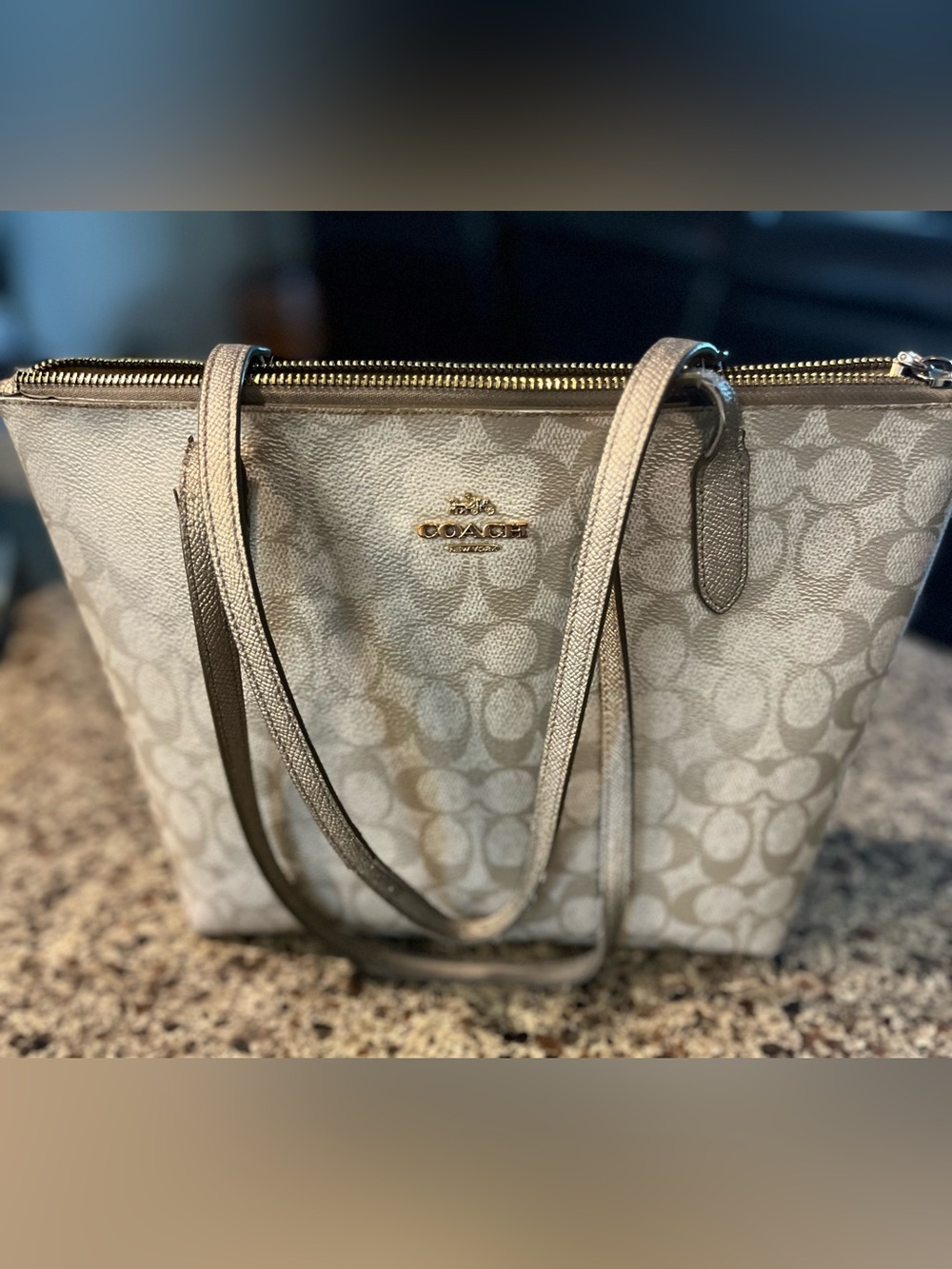 Coach Metallic Champagne Signature Tote
